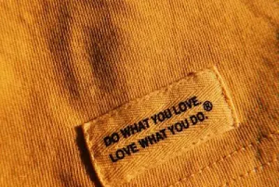 Do what you love, love what you do