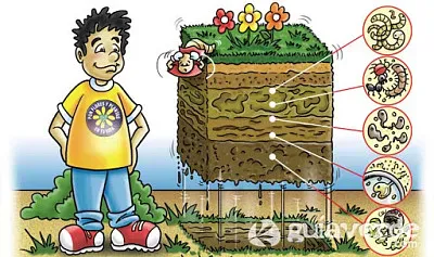 Ciencias Naturales jigsaw puzzle