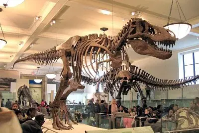 Tiranossauro