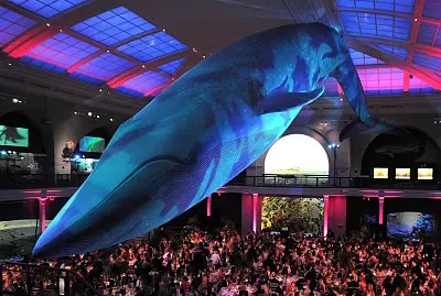 Descubra que animal Ã© esse apÃ³s montar!