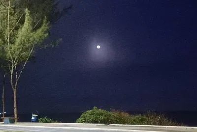 Um passeio a beira mar