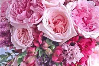 flores