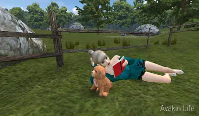 Avakin Life jigsaw puzzle