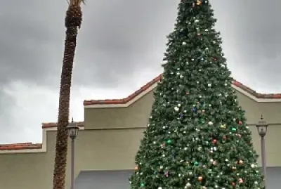 Christmas at Lake Elsinore