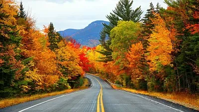 Color Road jigsaw puzzle