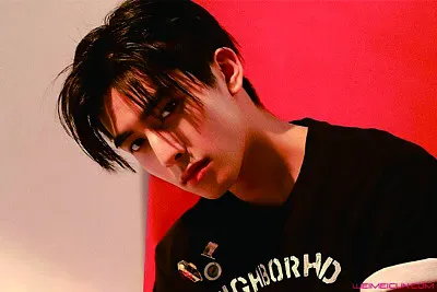 פאזל של å®‹å¨é¾