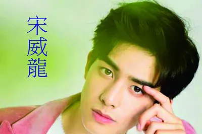 å®‹å¨é¾ jigsaw puzzle