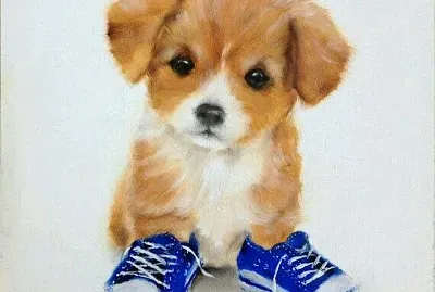 Perrito