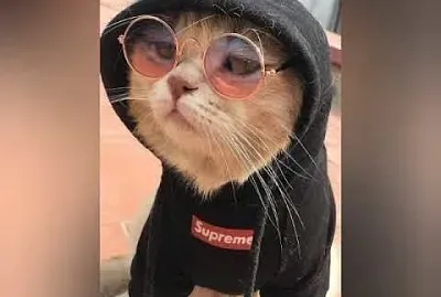 montserrat17 jigsaw puzzle