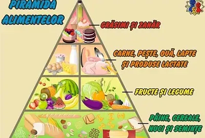 Piramida alimentelor jigsaw puzzle