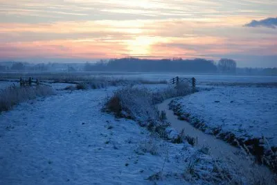 FROZEN MARSHES IN NORFOLK