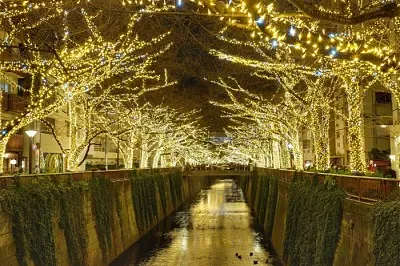 imagem jigsaw puzzle