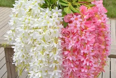 flores6