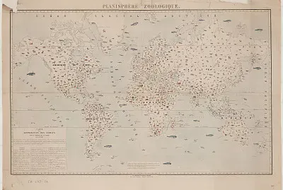Carte des animaux