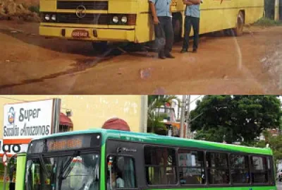 Ã”nibus Cisne jigsaw puzzle