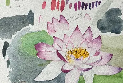 Water Lily sketch jigsaw puzzle