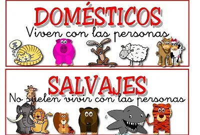 Animales Domesticos y Silvestre jigsaw puzzle