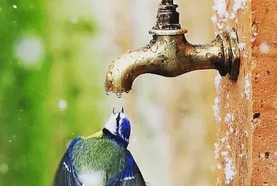 CENÃRIO K174 jigsaw puzzle