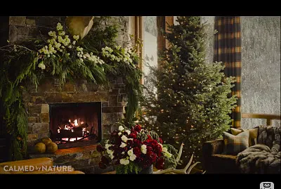 navidad jigsaw puzzle