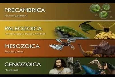 eras geologicas jigsaw puzzle
