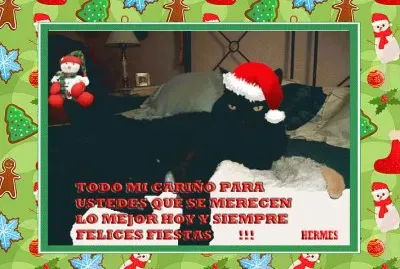 פאזל של fotos variadas