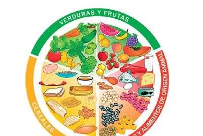 El Plato del Bien Comer jigsaw puzzle