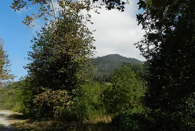 EN LA CAÃ‘ADA jigsaw puzzle