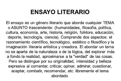 ENSAYO LITERARIO