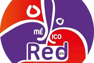 Celebremos los 15 aÃ±os de la Red de JÃ³venes jigsaw puzzle