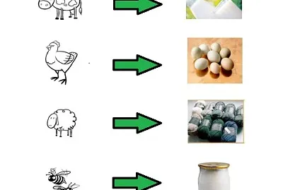 UTILIDAD DE LOS ANIMALES