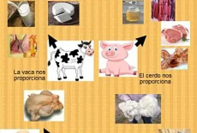 Utilidad de los animales