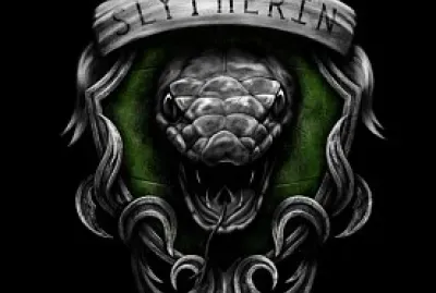 slytherin ðŸðŸ