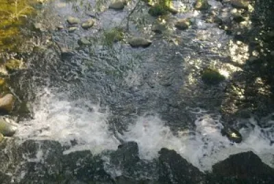 unscheinbarer Wasserverlauf