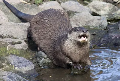 ×ž×™ ×× ×™ ?