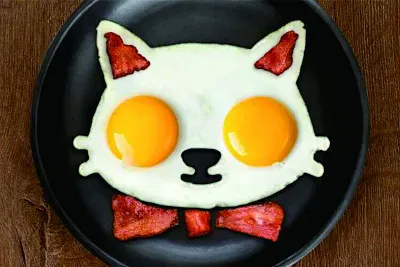 ç…Žè›‹(å™¨) jigsaw puzzle