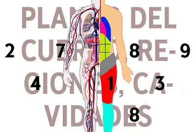 Planos, tÃ©rminos, regiones y cavidades jigsaw puzzle