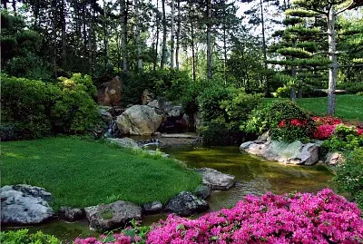 jardÃ­n japonÃ©s