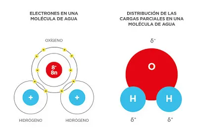 MolÃ©cula del agua jigsaw puzzle