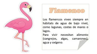 FLAMENCO jigsaw puzzle