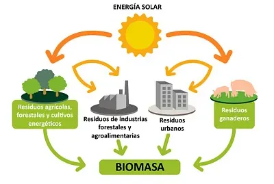 Biomasa jigsaw puzzle