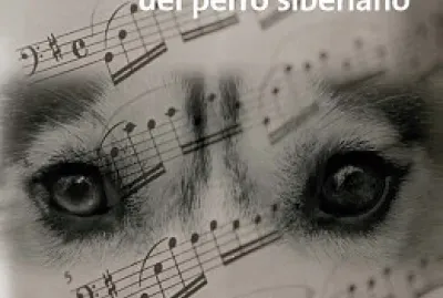 פאזל של octavo rompecabezas