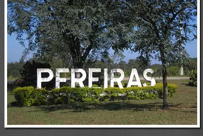Pereiras