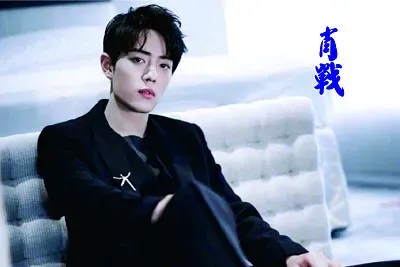 ä¸­åœ‹å¤§é™¸ é™³æƒ…ä»¤ è‚–æˆ° jigsaw puzzle