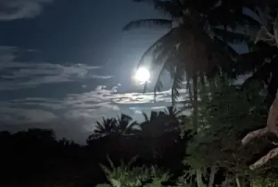 A moonlight drive home - Molokai, Hawaii
