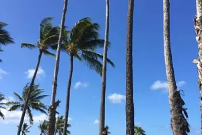 Kaluakoi, Molokai Hawaii