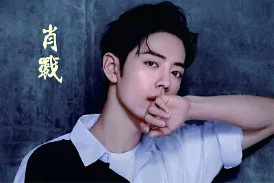 åšå›ä¸€è‚– jigsaw puzzle