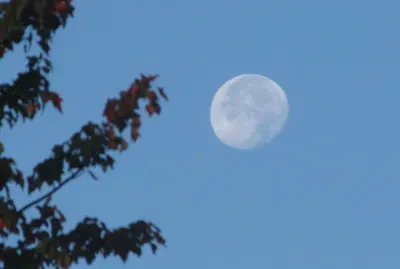 Moon in morning sky