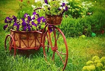 Foto jigsaw puzzle