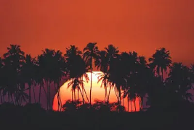 natural jigsaw puzzle