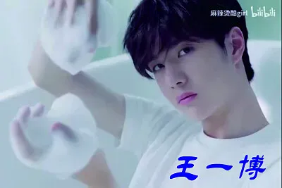 å¤§é™¸ç”·æ¼”å“¡ çŽ‹ä¸€åš jigsaw puzzle